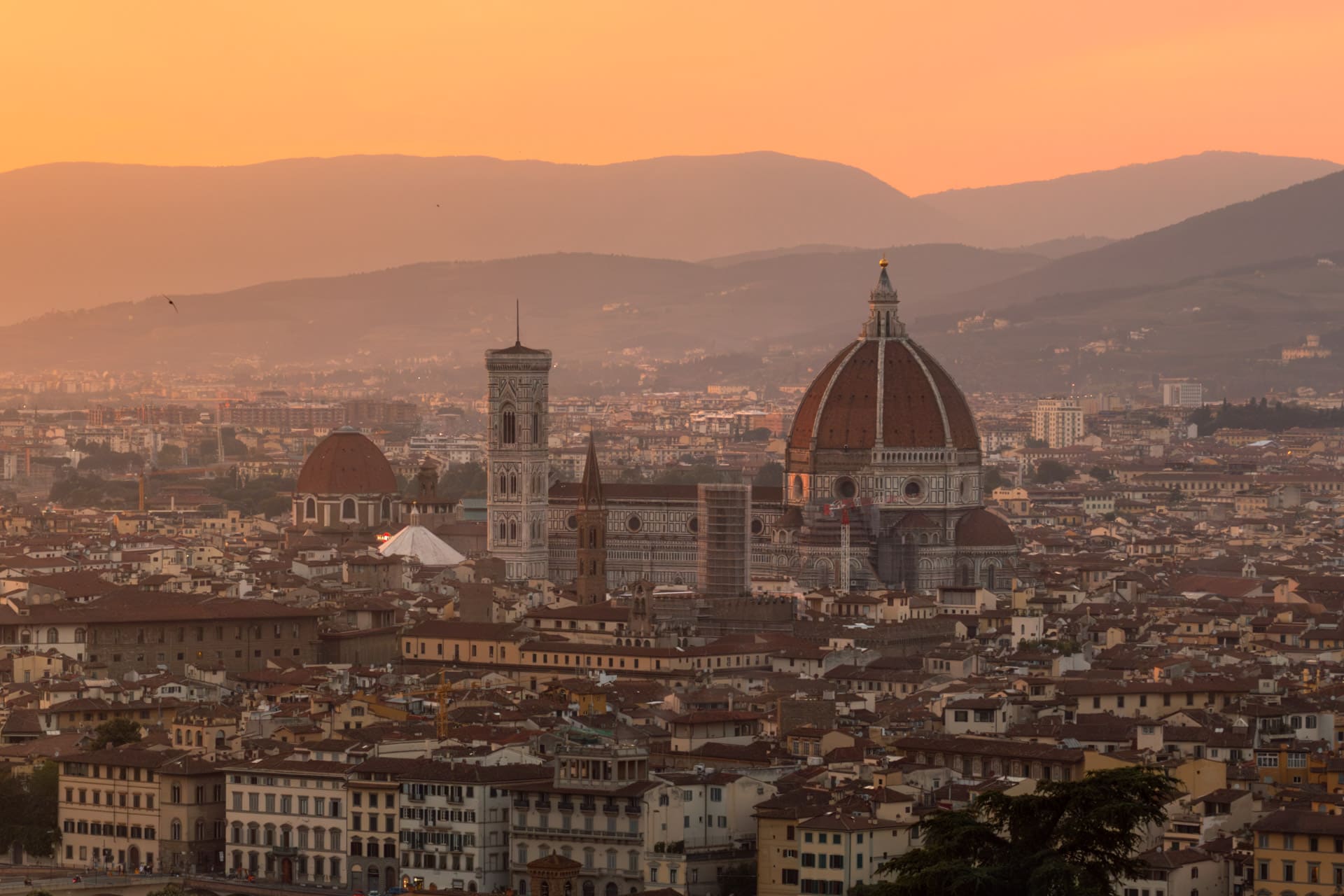 Florence Travel Guide: 16 Best Things To Do & See