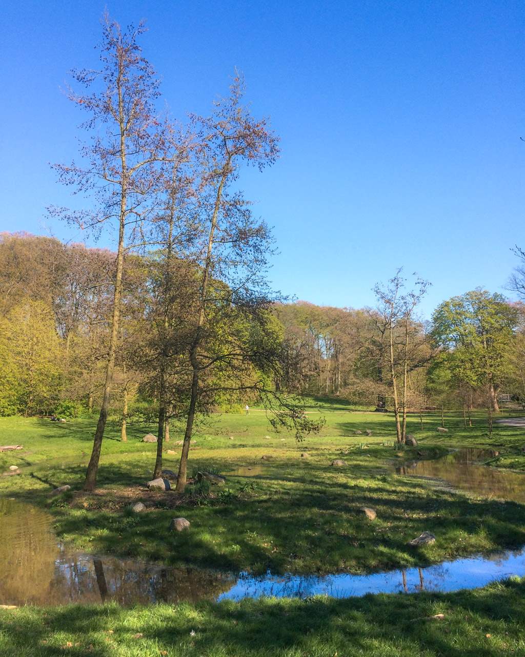 Søndermarken in Frederiksberg