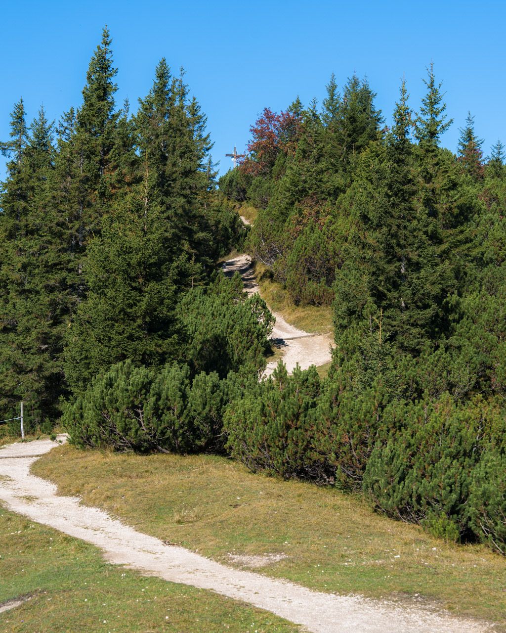 Gravel path through dwarf pines towards the cross on Wank