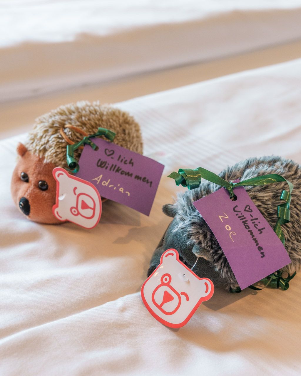 Two plush hedgehogs with name tags on the children's beds