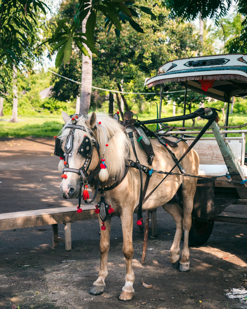 Horse carriage on Gili Meno