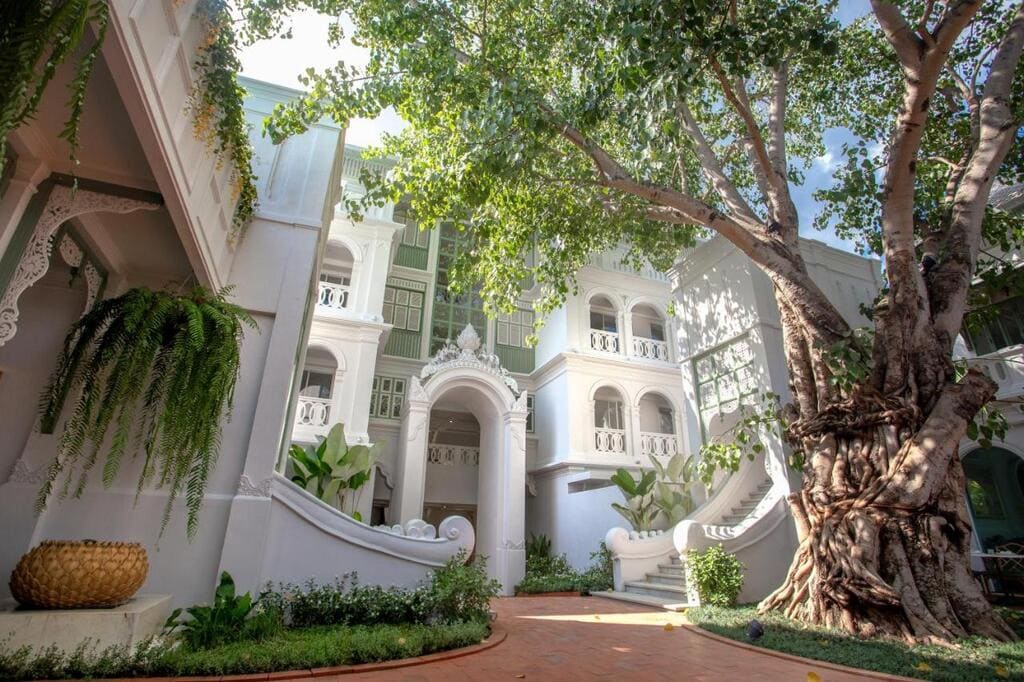 Bodhi tree at the entrance to The Inside House