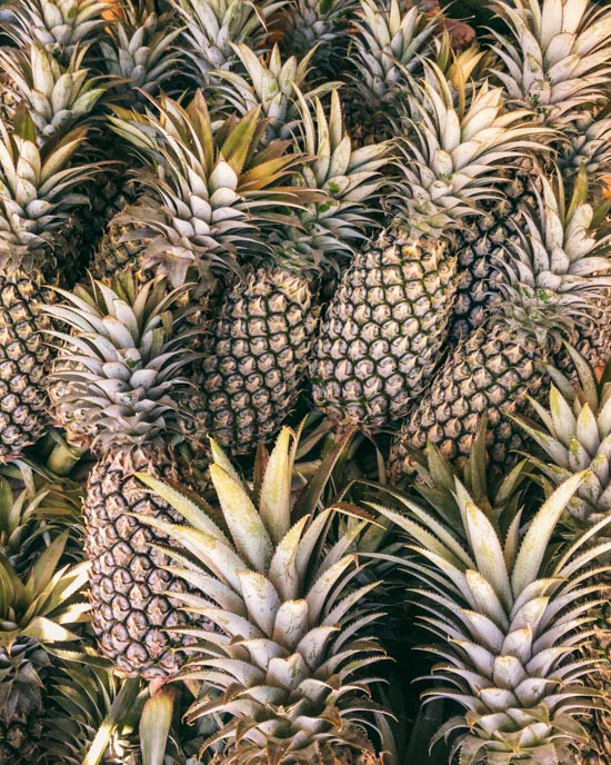 Pineapple