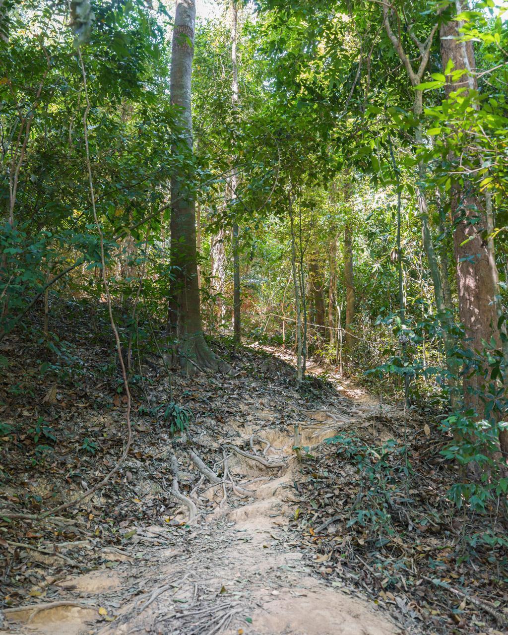 Mu Ko Lanta National Park hike