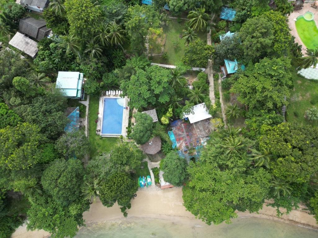 Aerial view of Koh Mook Garden Beach Resort with bungalows tucked into tall trees by the water.