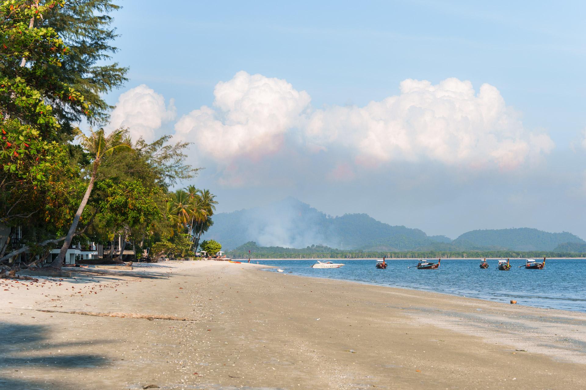 Tropical beach in Koh Mook with palm trees, sandy shore, moored longtail boats and forested mountains under blue sky.