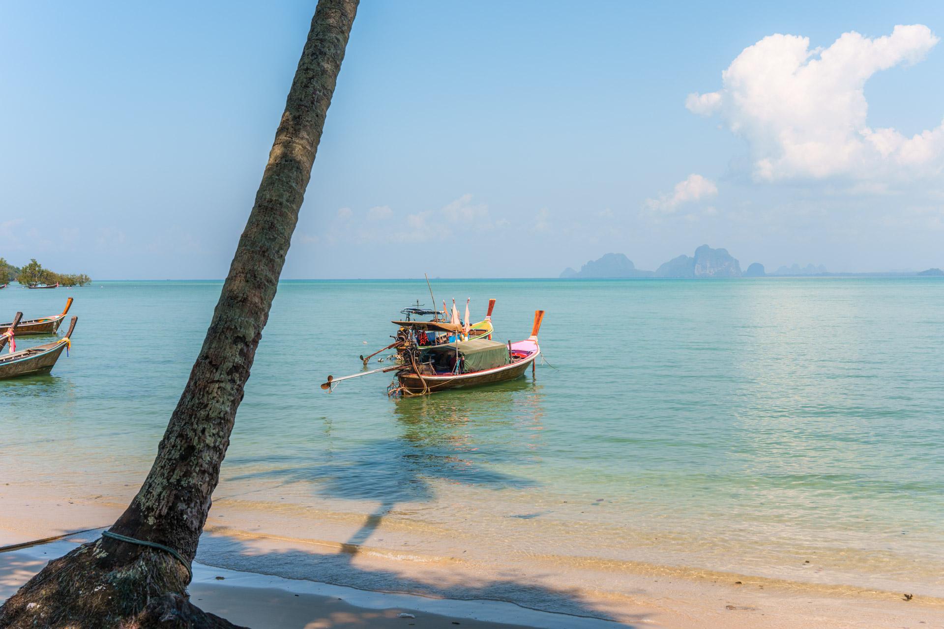 Leaning palm tree on sandy beach with colourful longtail boats in turquoise water, limestone islands visible in the distance, Koh Mook, Thailand.