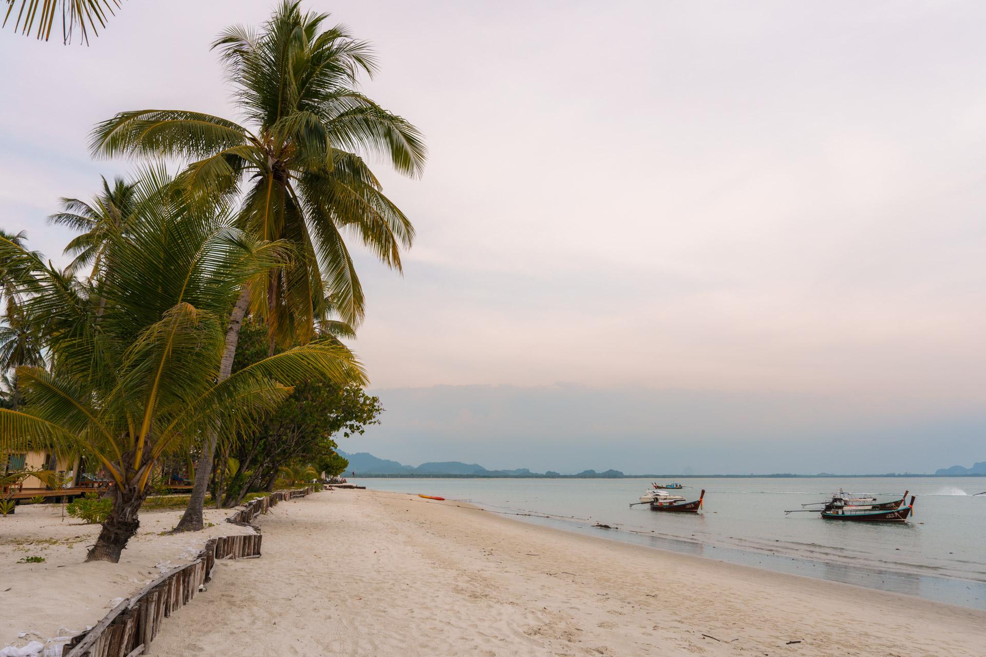 Tropical beach on Koh Mook, Thailand with palm trees, sandy shore, traditional longtail boats and distant islands under overcast sky.