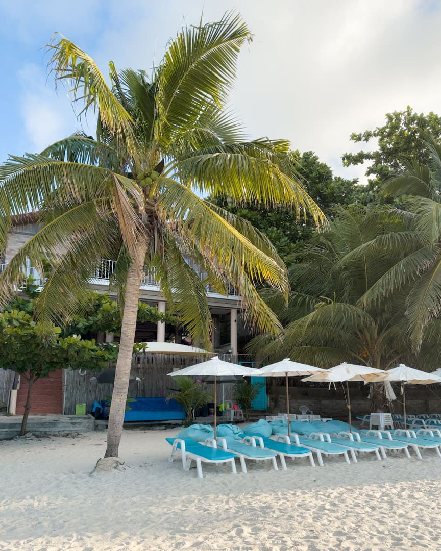Palm and sunbeds on the beach in Koh Samet