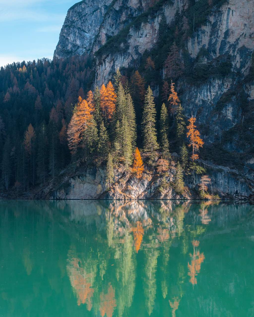 Trees reflected in Lago di Braies
