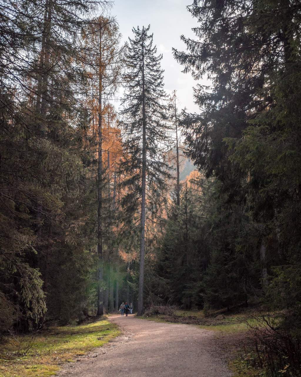 Flat path at Lago di Braies