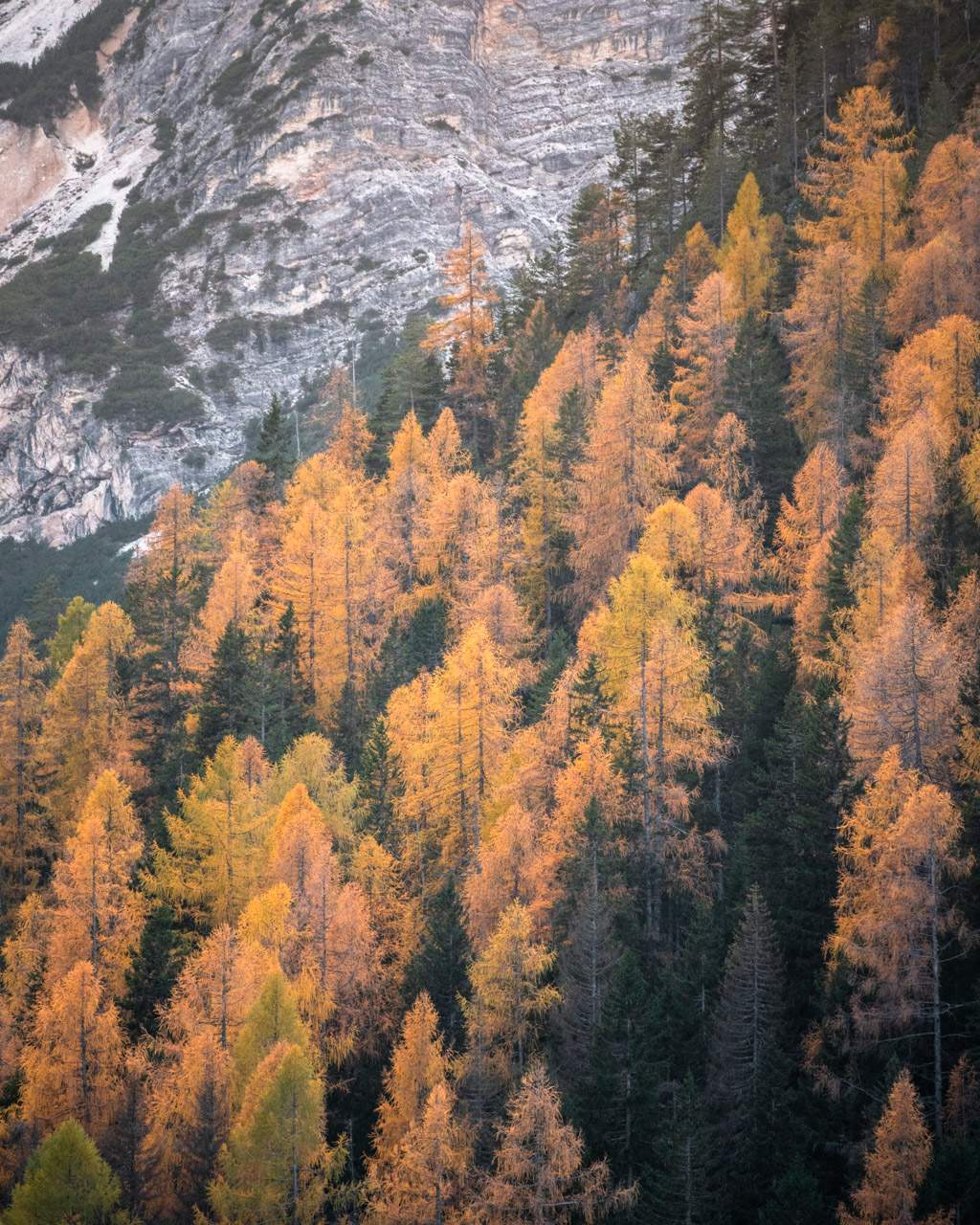 Autumn at Lago di Braies