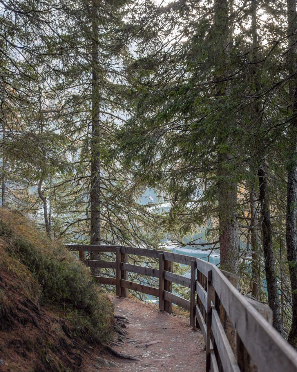 Path with fence at Lago di Braies