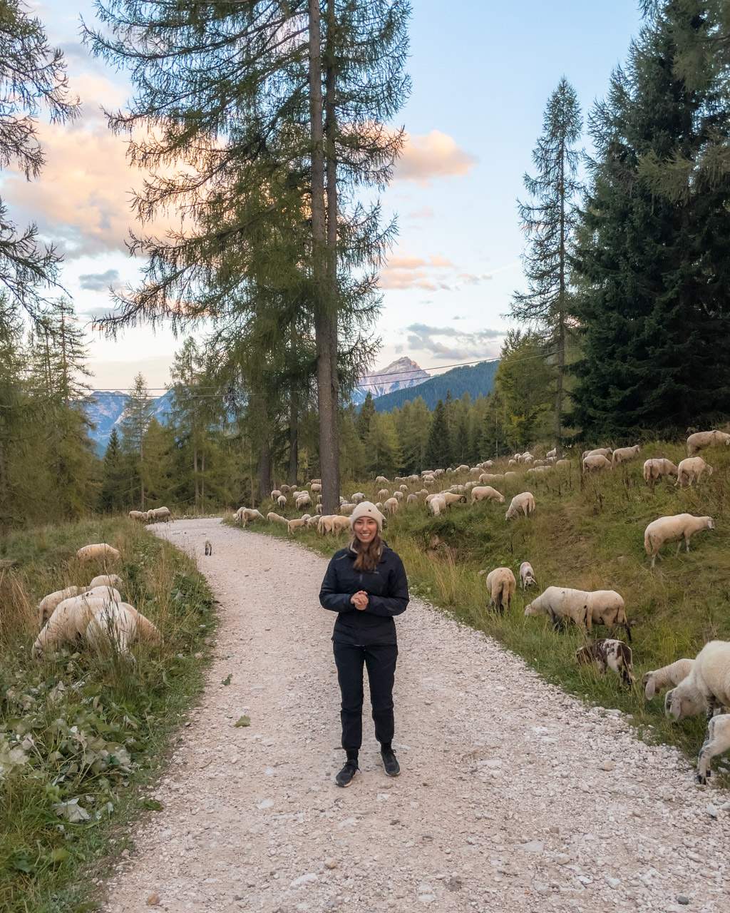 Victoria and many sheep on the way back from Lago di Coldai