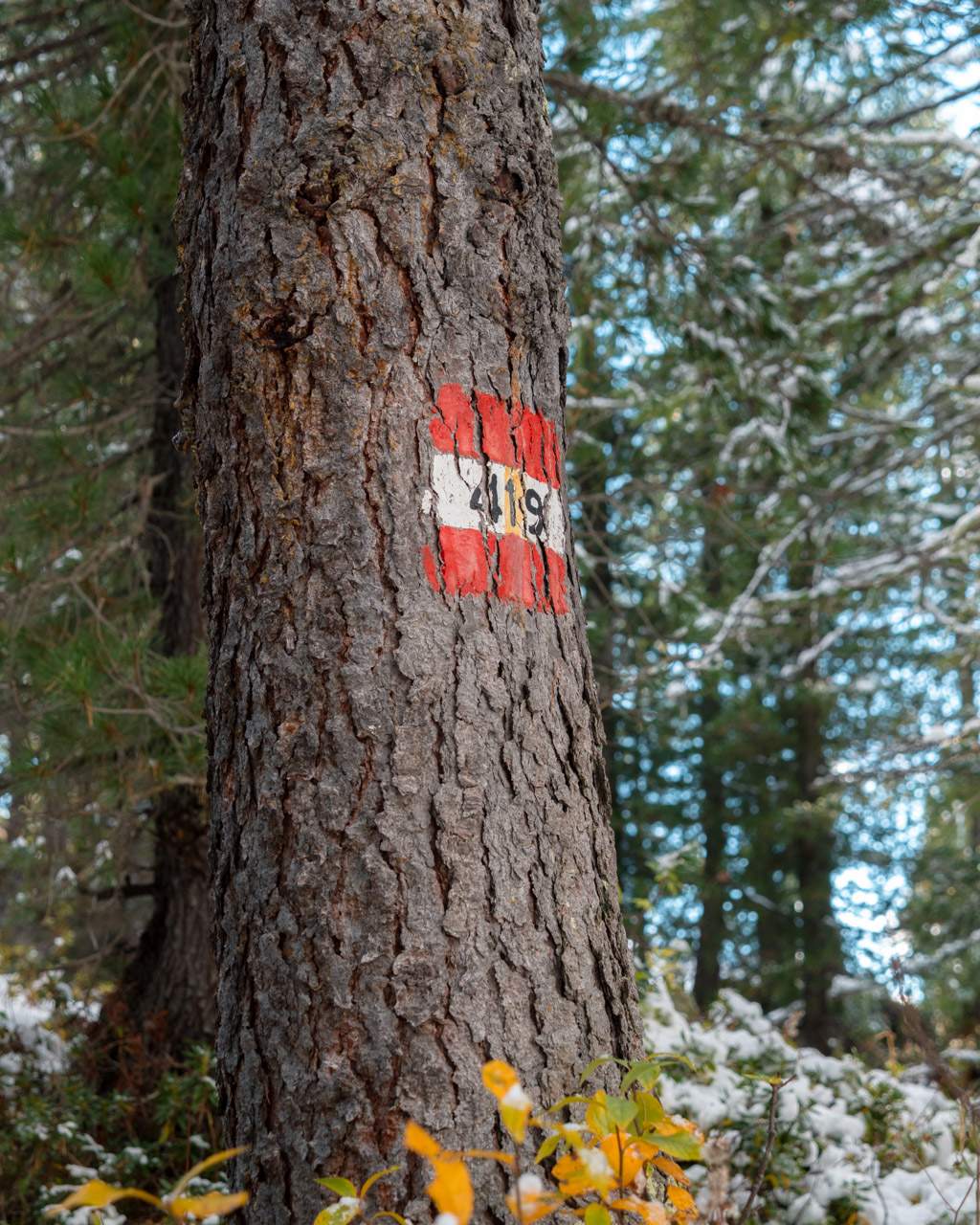 Marking of path no. 419 towards Forcella Averau
