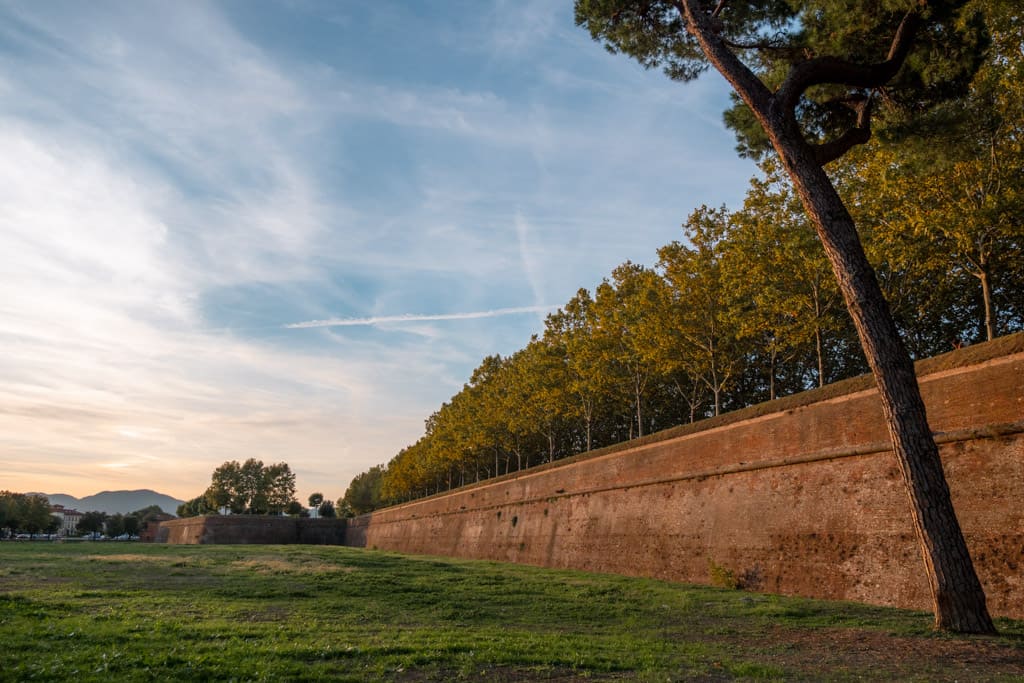 Lucca's medieval city wall is one of the best sights