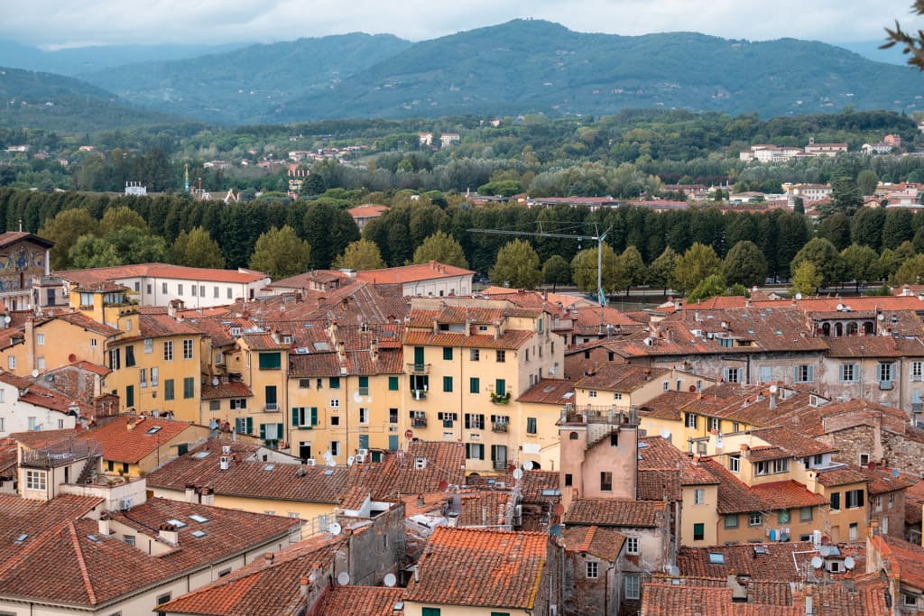 Houses in the old centre of Lucca