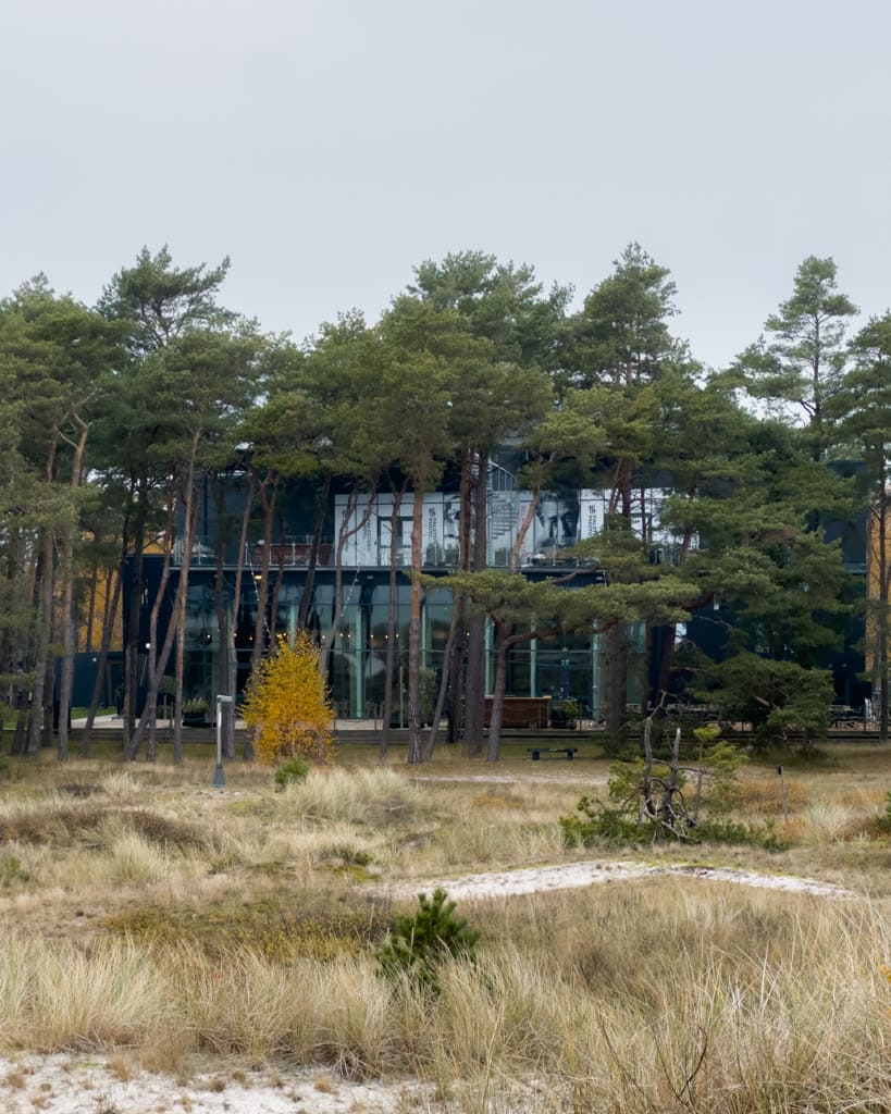  Falsterbo Photo Art Museum seen from the beach through the trees