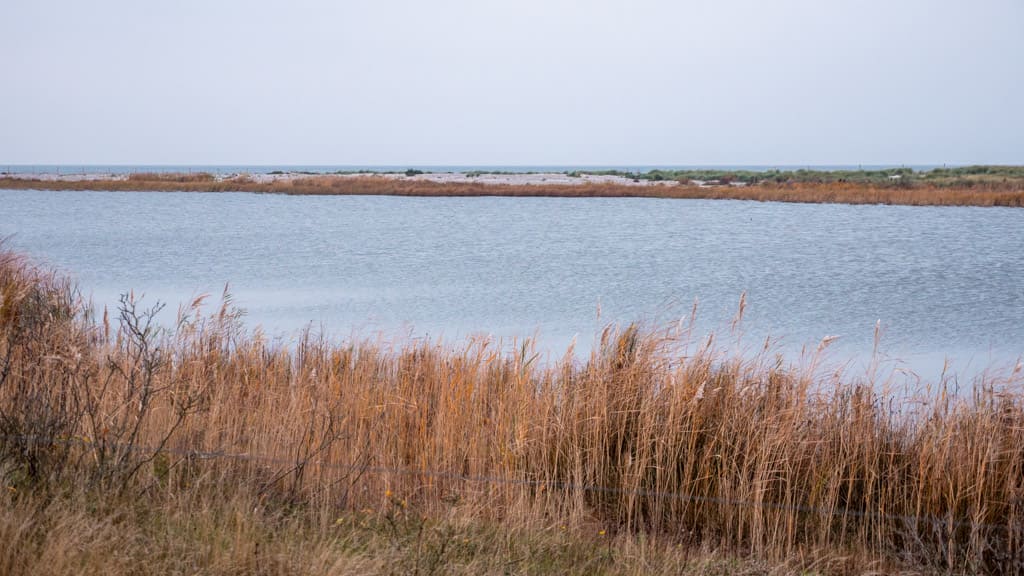 Måkläppen nature in Southern Sweden