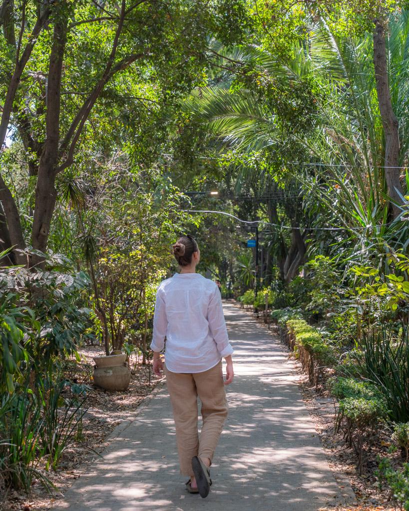 Victoria in Condesa in Mexico City