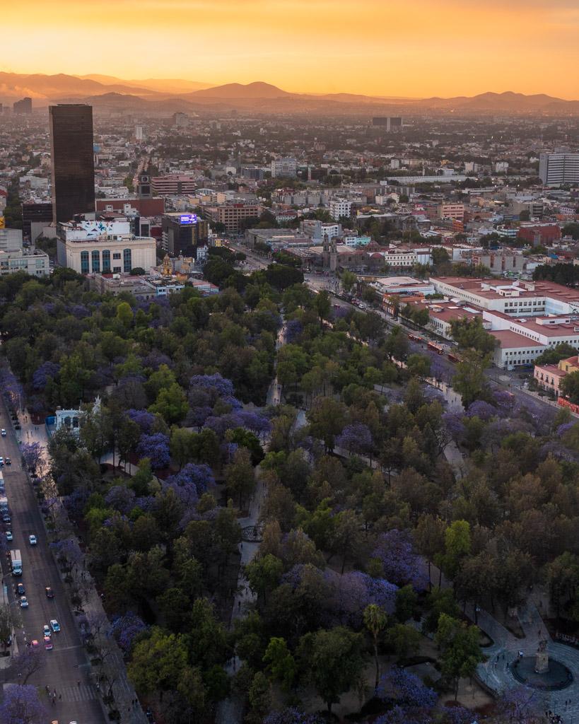 The view from Nivel 40 Skybar at sunset with a look down on Alameda Central