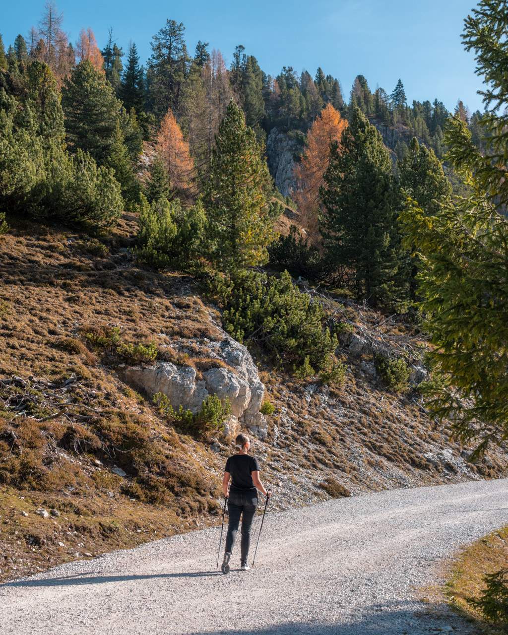 Victoria hikes to Monte Specie in the Dolomites