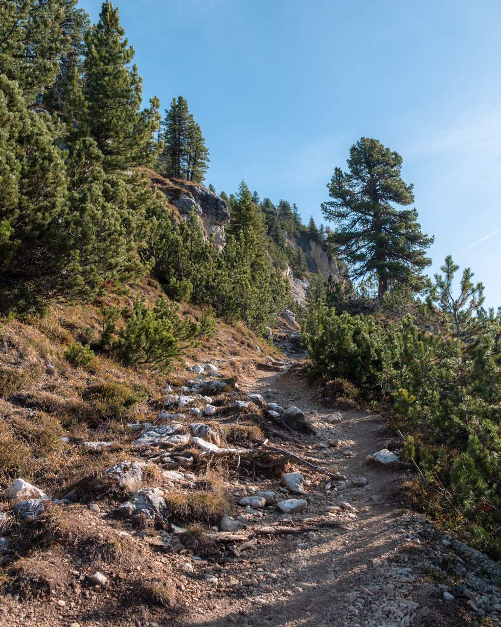 Path on the way to Monte Specie in the Dolomites