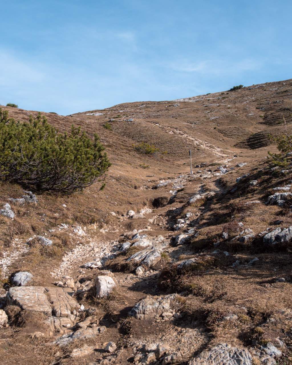 Path at Monte Specie in the Dolomites