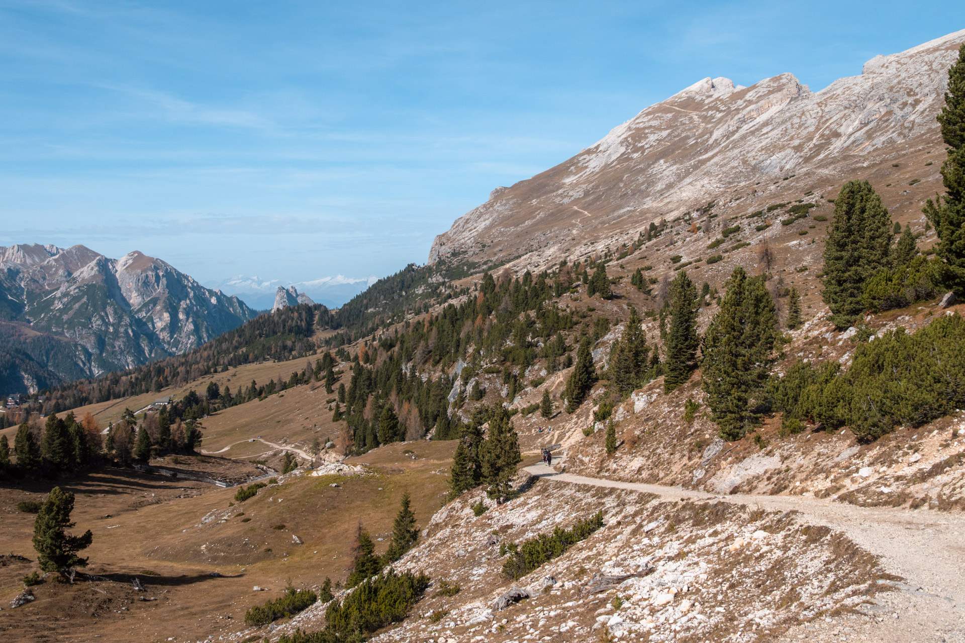 Path to Monte Specie in the Dolomites
