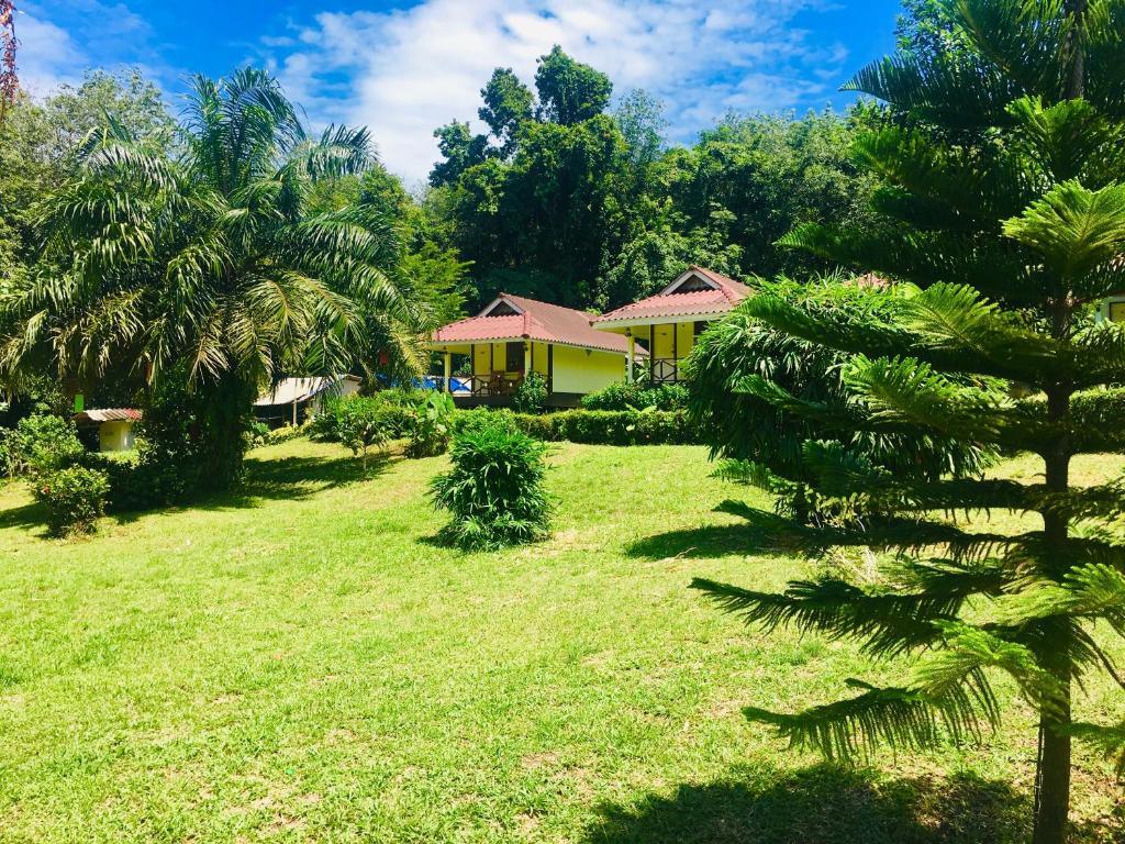 Garden setting at Mookies Bungalows with bungalows tucked among tropical greenery.
