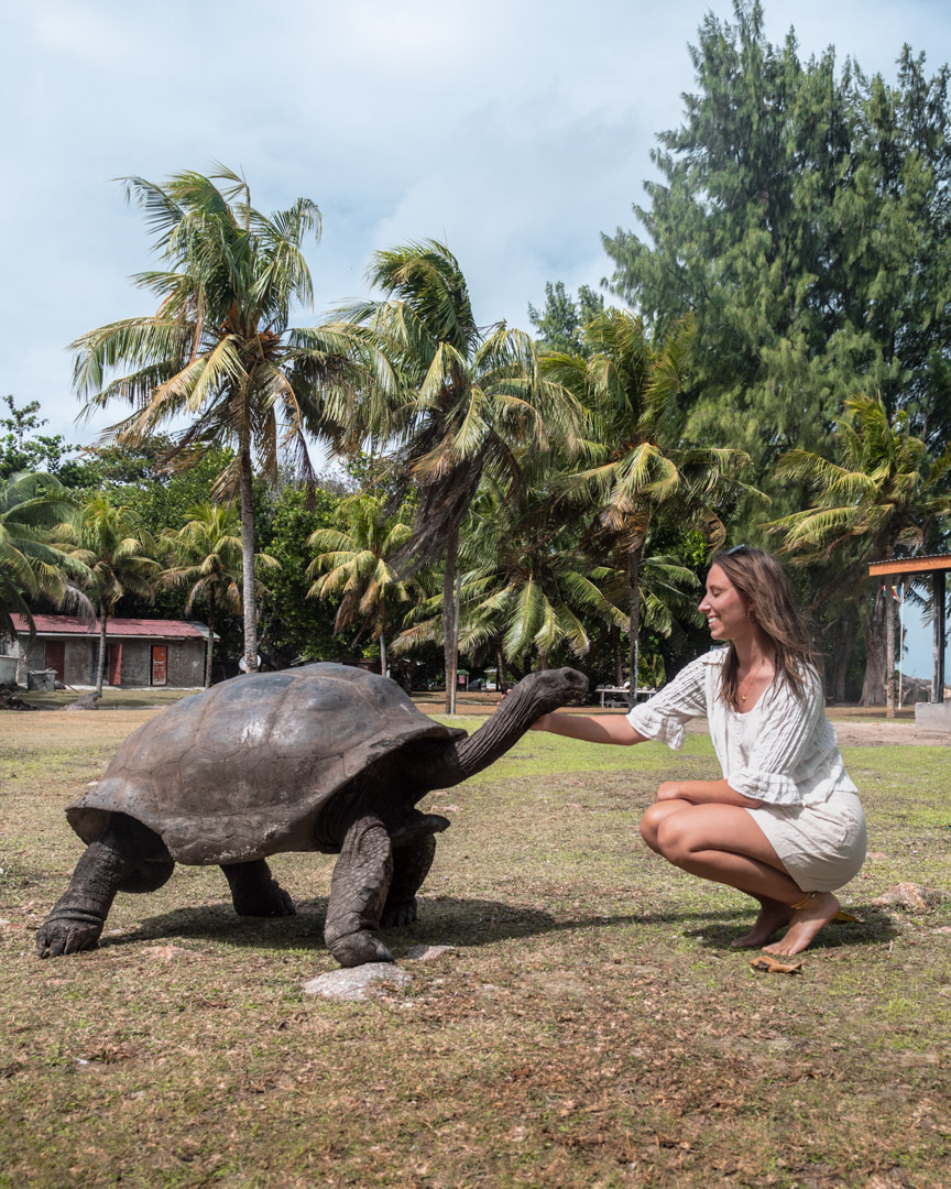 Giant tortoises on Curieuse Island