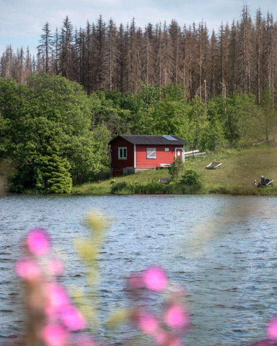 Lake in the Harz Mountains