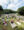 The graveyard on La Digue between the town and Anse Severe