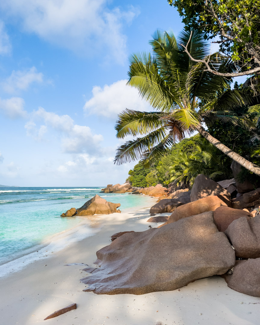 Granite boulders and perfect palm trees on La Digue Seychelles