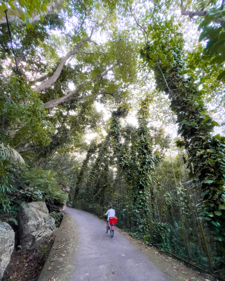 Road to the southeastern beaches on La Digue