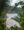 The first glimpse of Petite Anse Beach on La Digue Seychelles