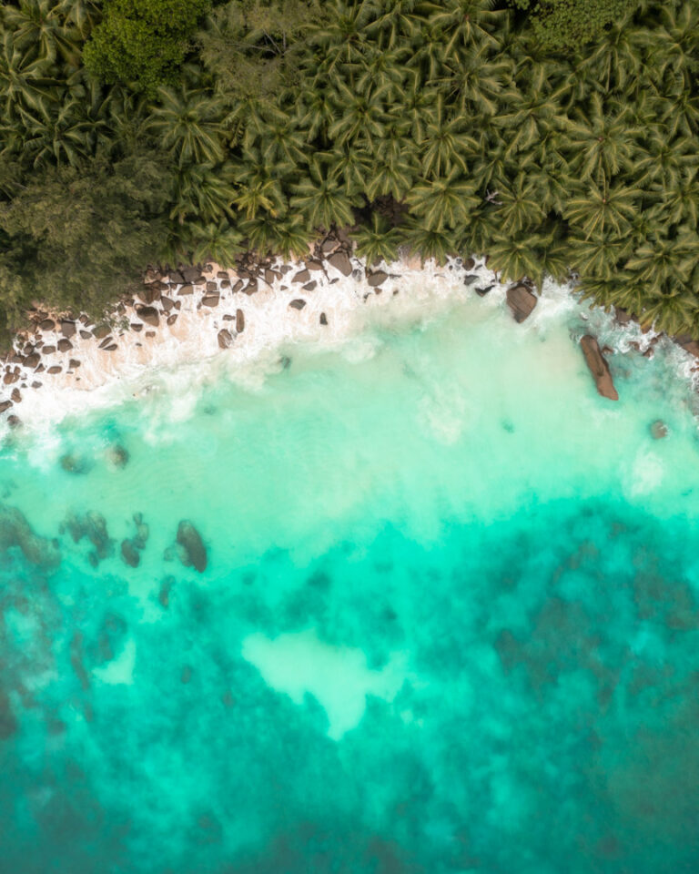 Ultimate Travel Guide to Seychelles Best Things To Do, Where To Go