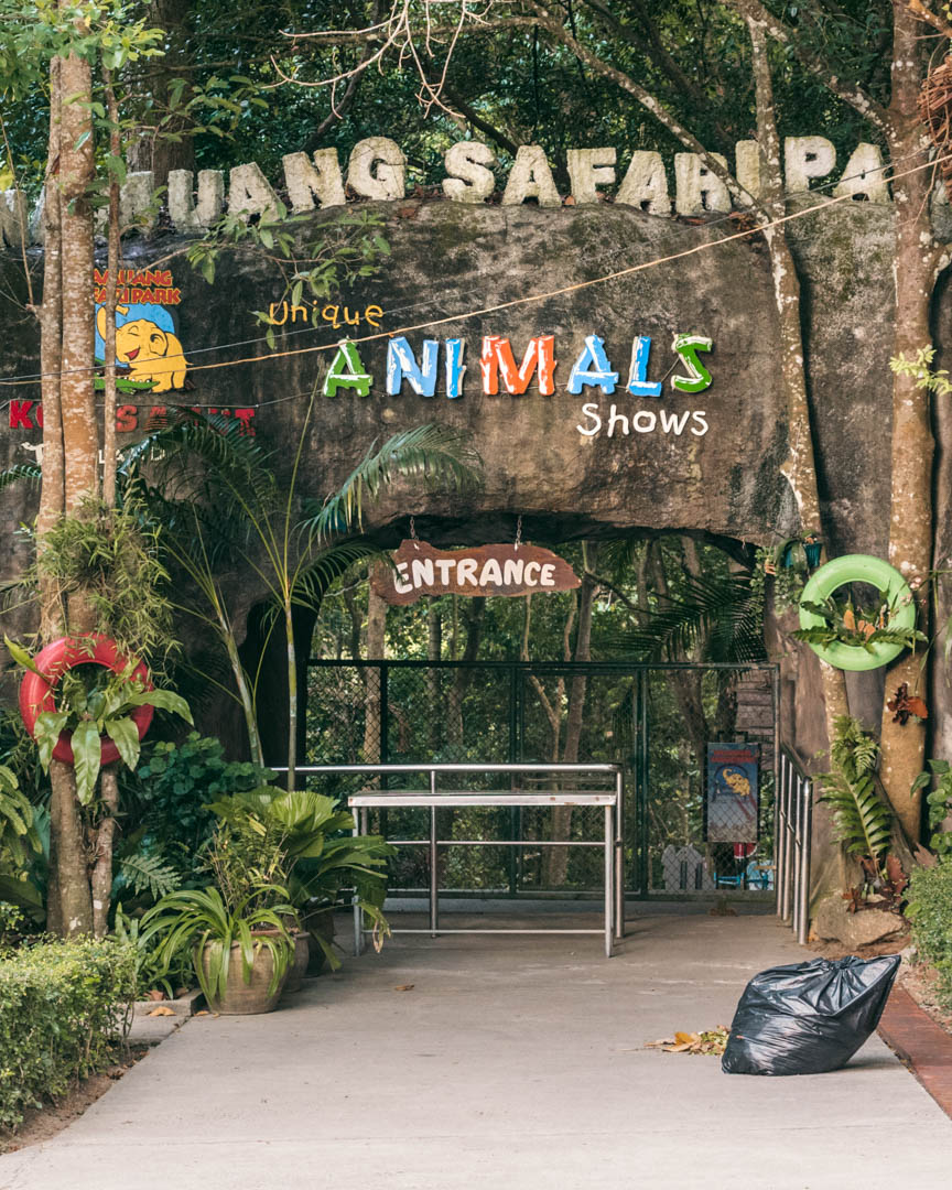 Animal entertainment in Koh Samui