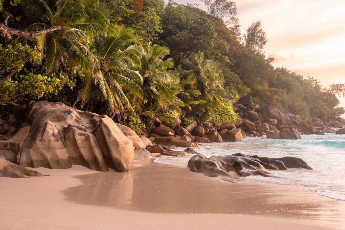 Praslin Island Travel Guide: 11 Best Beaches & Things To Do