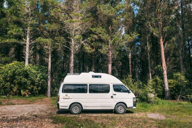 Our 5 Best Tips for Vegan Vanlife in New Zealand