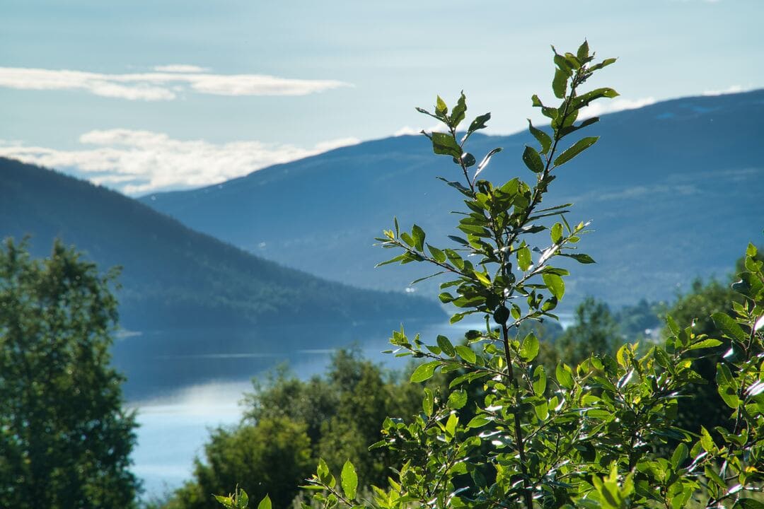 Åre in the summer