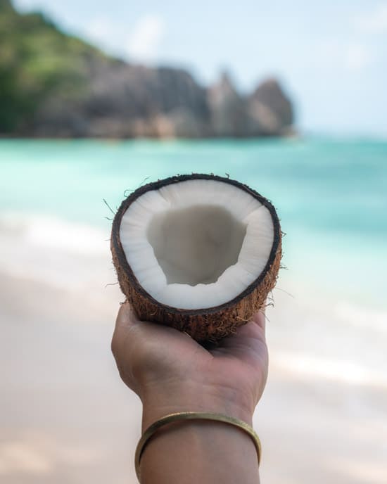 Coconut on Anse Source d'Argent