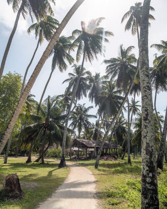 L’Union Estate on La Digue