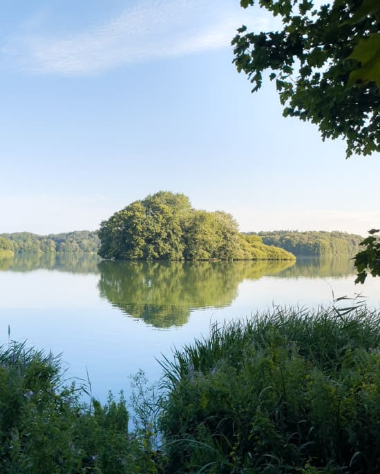 Pheasant Island (Fasaneninsel) and Love Island (Liebesinsel) are two small islands located in Lake Eutin