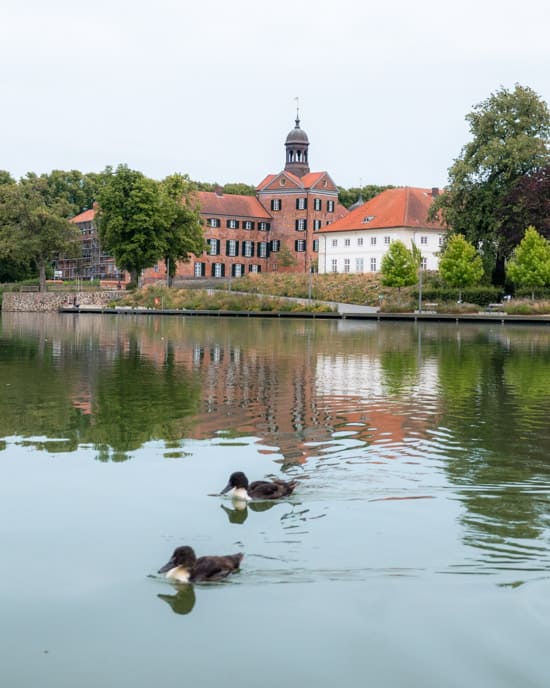 Eutin Castle and ducks in the lake