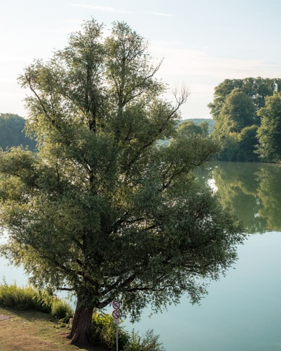 Eutin Lake