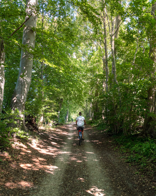 Biking around Kellersee