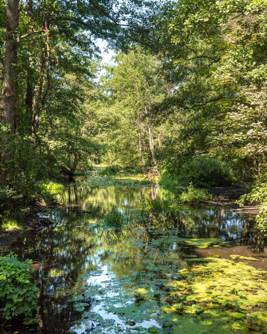 Summer in Eutin