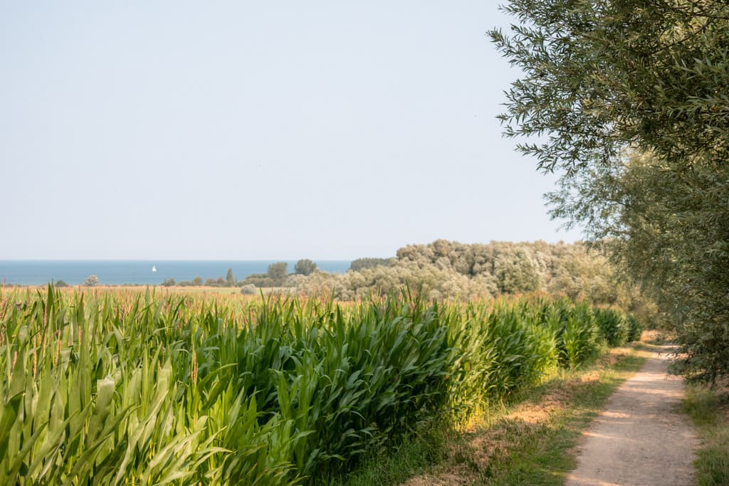 Hiking trail near Kühlungsborn