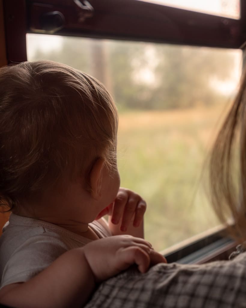 Adrian in the Molli train looking out the window